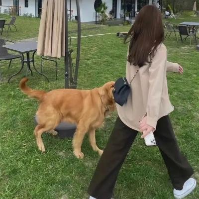 单车小子